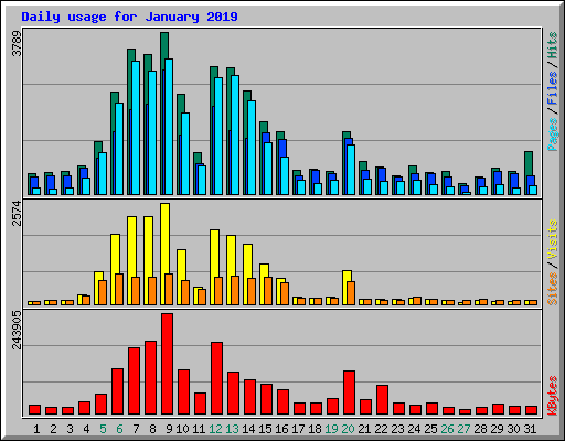 Daily usage for January 2019