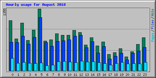 Hourly usage for August 2018